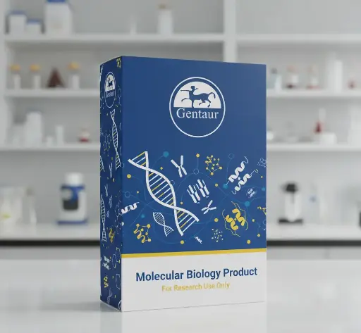 [0399-CSB-EP358397RNA-1mG.] E. coli Rec. Rickettsia rickettsii 17 kDa surface antigen (omp), E. coli expression, Tags: N-terminal 10xHis & C-terminal Myc - 1mG.